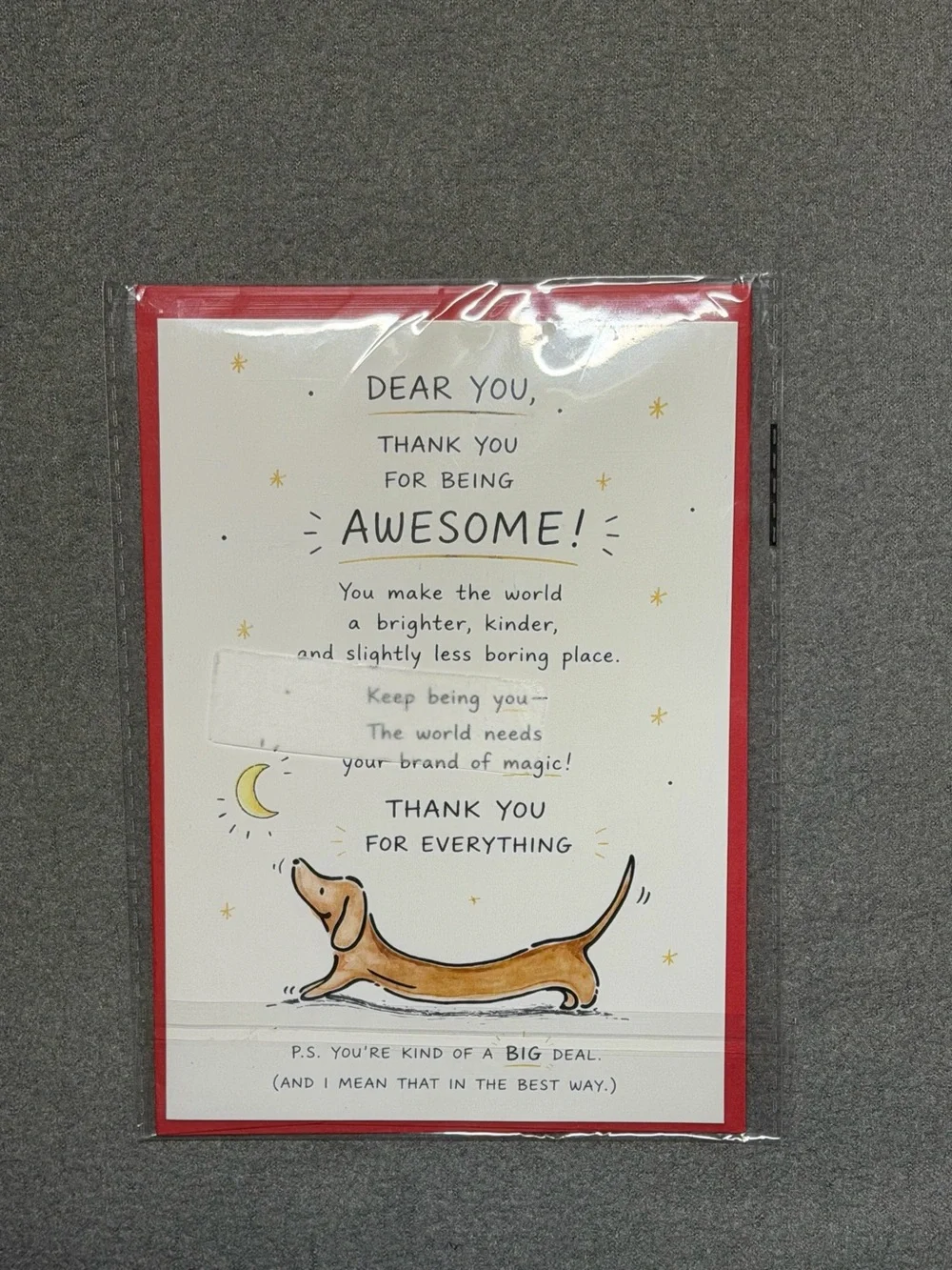 Thank You Card with Dachshund